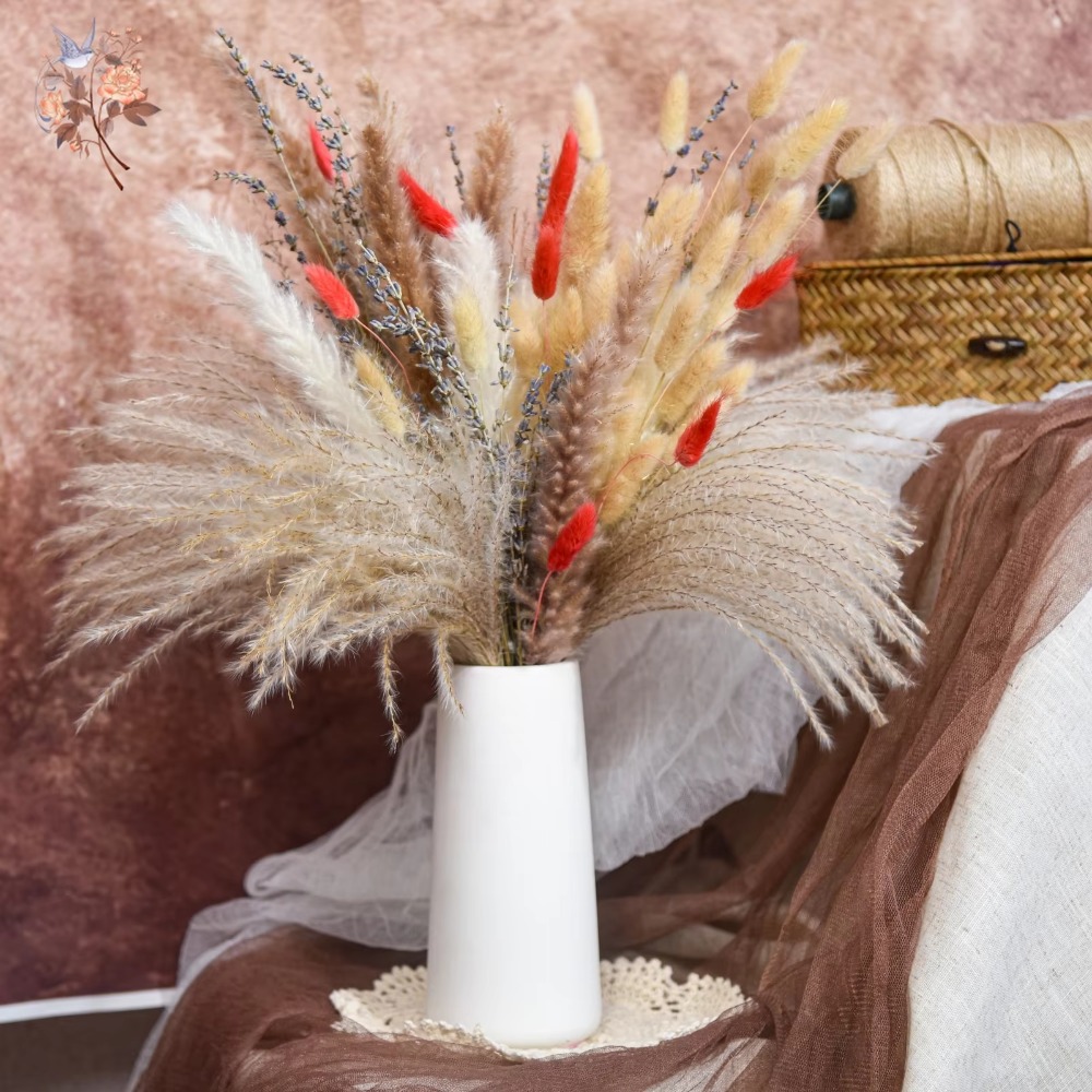 Doğal Pampas Lavanta Kurutulmu - Pampas Grass Decor incelemesi ve fiyatı