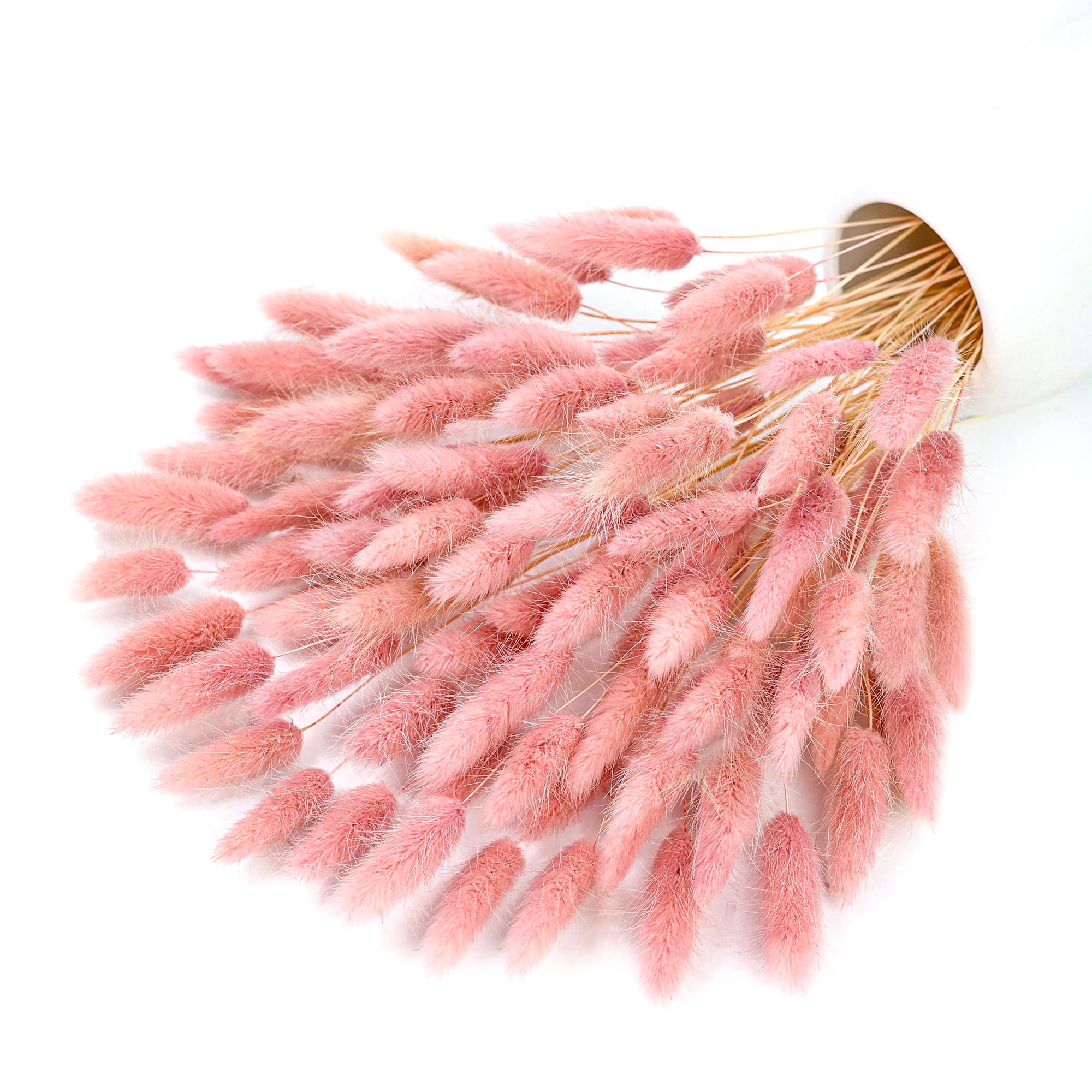 120 Saplı Pembe Kurutulmuş Pam - Pampas Grass Decor incelemesi ve fiyatı