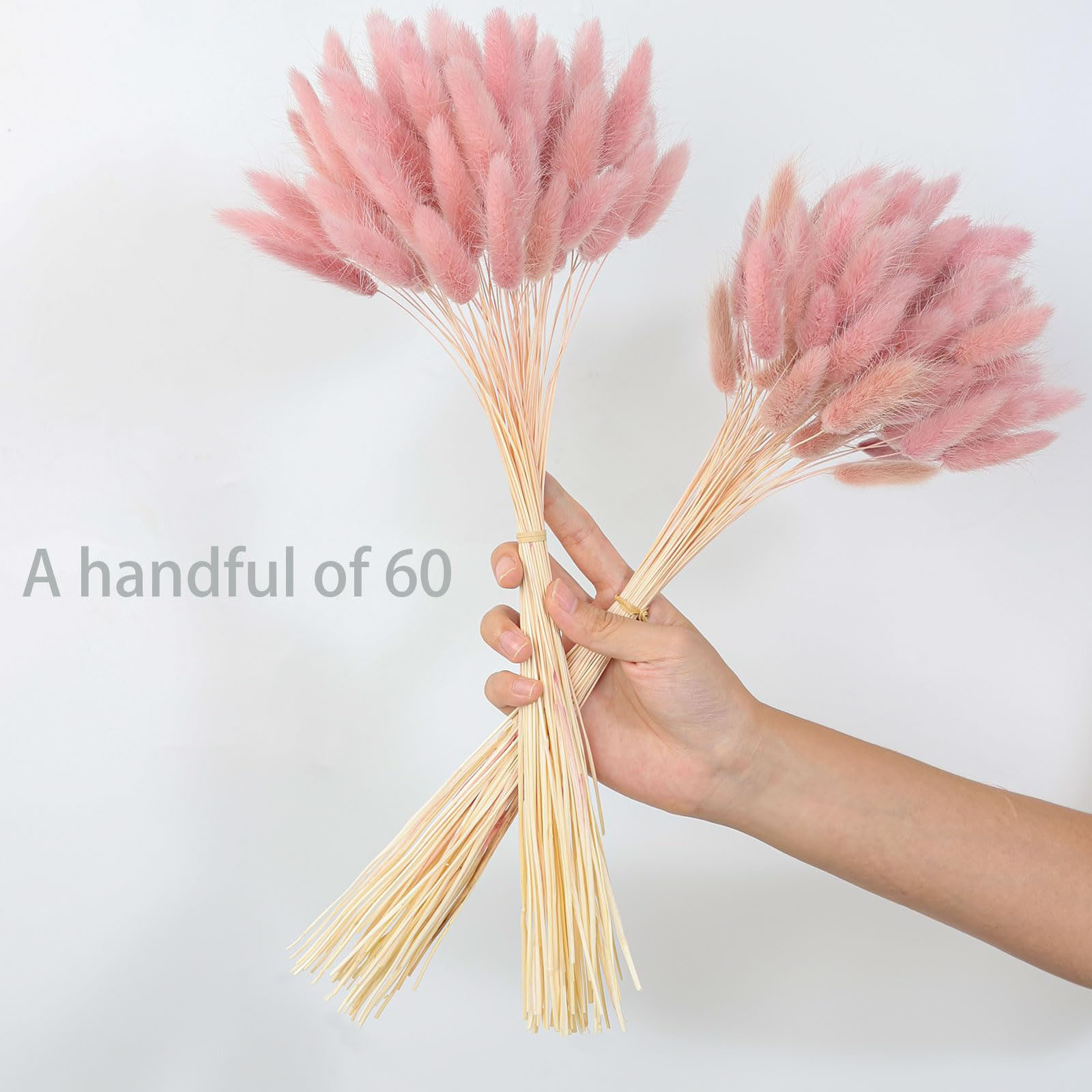 120 Saplı Pembe Kurutulmuş Pam - Pampas Grass Decor incelemesi ve fiyatı