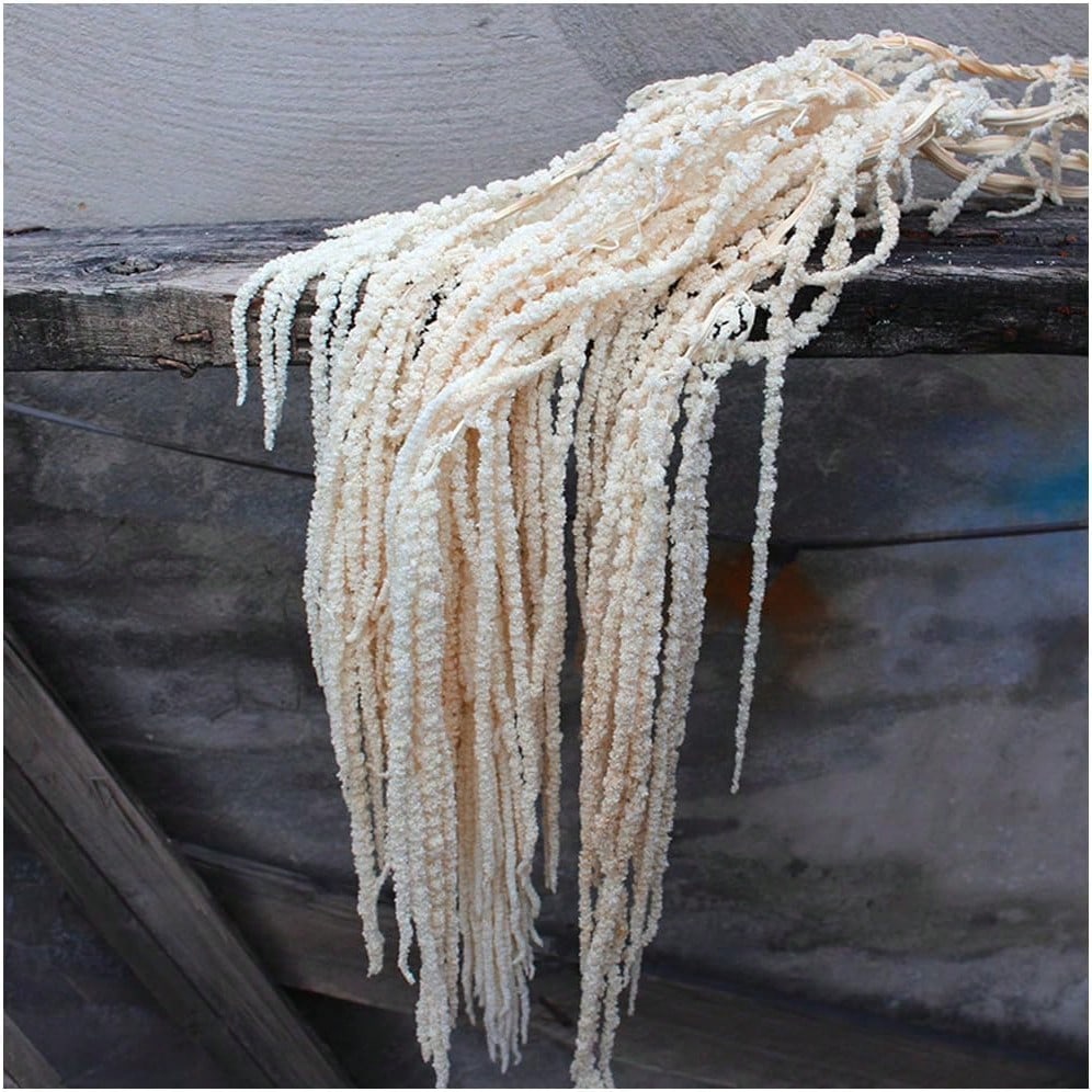 Ipek Yapay Bitki Asma Düğün Ba - Pampas Grass Decor incelemesi ve fiyatı