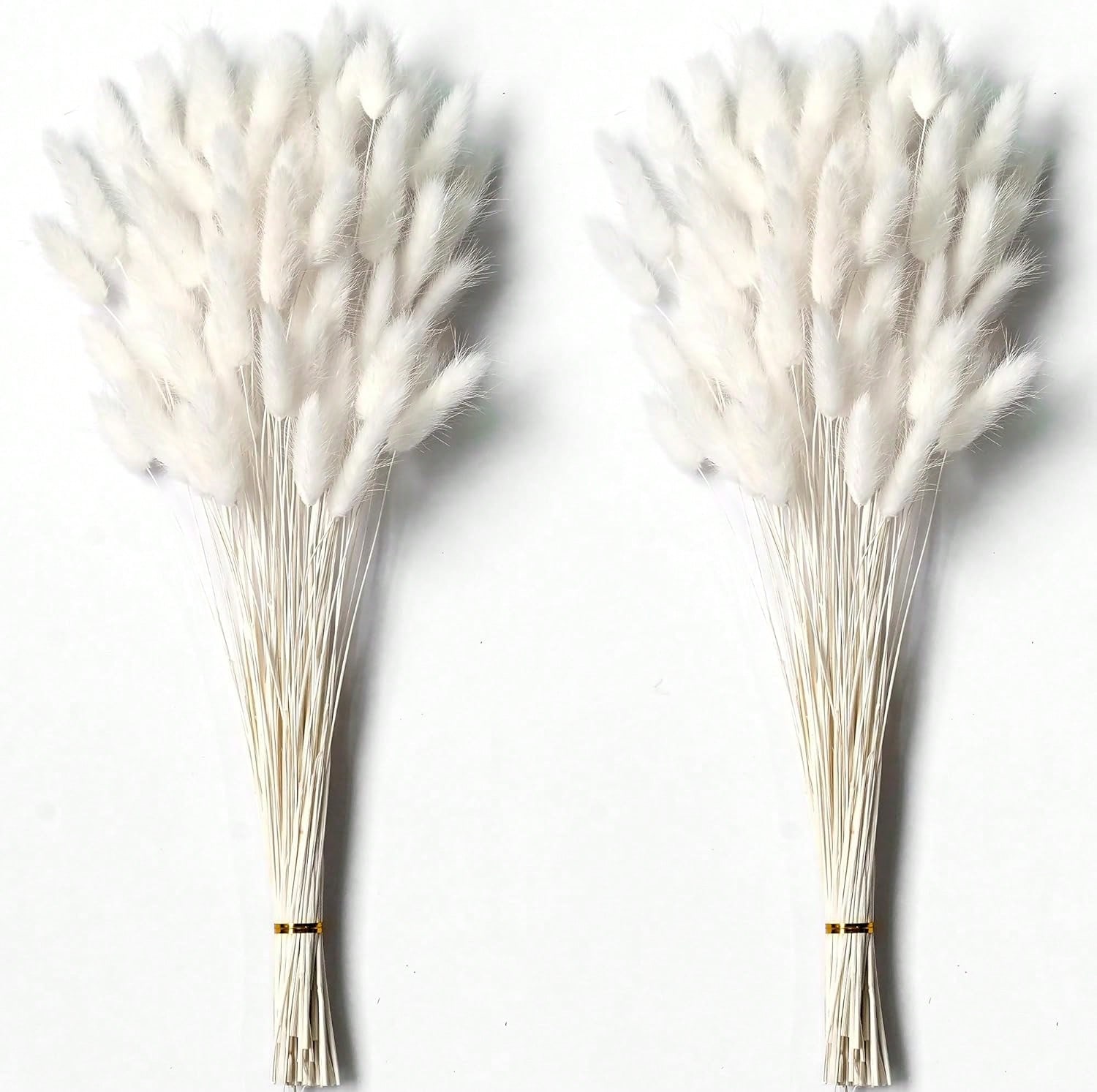 120 adet kurutulmuş Pampas çim - Pampas Grass Decor incelemesi ve fiyatı